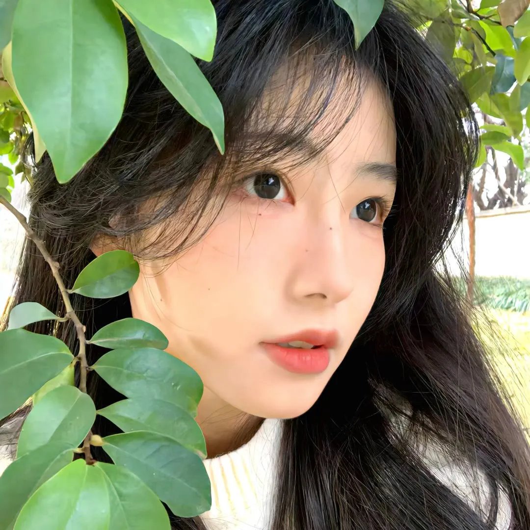 绝世情歌