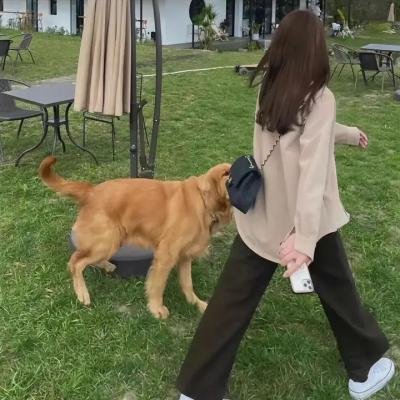 美丽的秘密