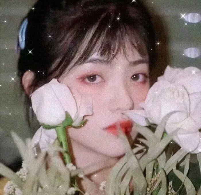 爱之篇章2